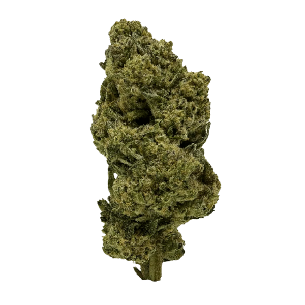 THCSC Greenhouse THCA Hemp Flower 1g / Indica / Shake Shack